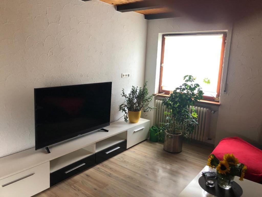 Ferienwohnung Zur Sonnenterasse In Gersbach Шопфгайм Екстер'єр фото